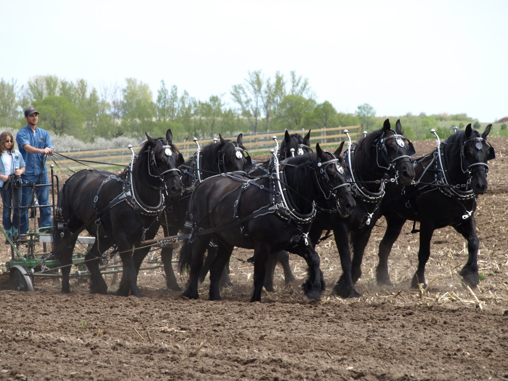 Plow Day On Saturday May 14th Rex Dobson Ruby Ellen Farm Foundation